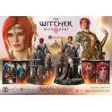 The Witcher 3 Triss Merigold Alternative Outfit Prime 1 Studio
