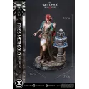 The Witcher 3 Triss Merigold Alternative Outfit Prime 1 Studio