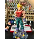 Dragon Ball GT Vegeta Li Zi Studio