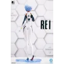 Neon Genesis Evangelion Ayanami Rei Bearpanda