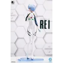 Neon Genesis Evangelion Ayanami Rei Bearpanda