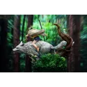 Mononoke Hime San MHT Studio