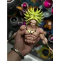 Dragon Ball Z Broly Top 1 Studio