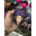 Dragon Ball Z Broly Top 1 Studio