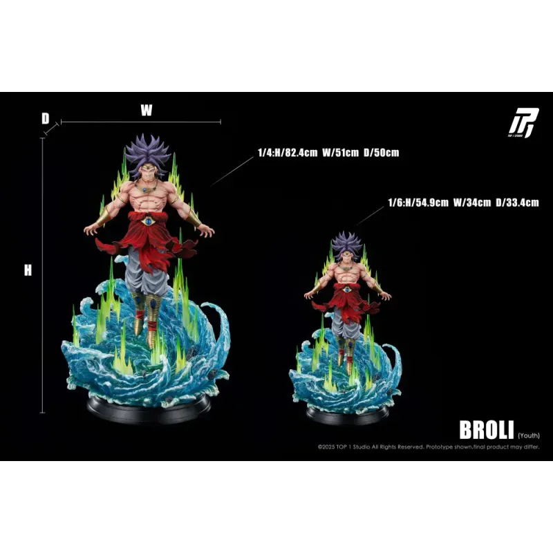 Dragon Ball Z Broly Top 1 Studio