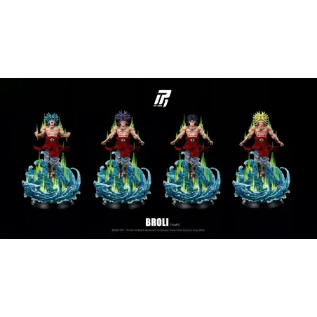Dragon Ball Z Broly Top 1 Studio