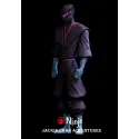 Jackie Chan Adventures Jade Chan Demon Xiaoyu Chen 12 Talisman Studio