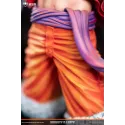 One Piece Luffy Mo Huan Yuan Studio