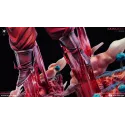 Dragon Ball Z Goku Kaioken Virtual Realm Studio