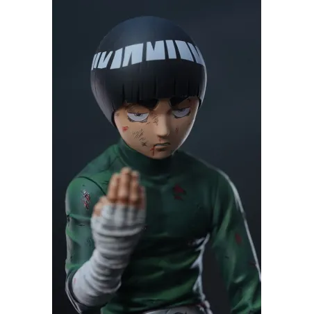 Naruto Shippuden Rock Lee Pickstar Studio