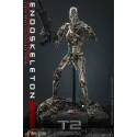 The Terminator T800 Endoskeleton HOTTOYS 1/6 Diecast - Battle Damage