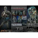 The Terminator T800 Endoskeleton HOTTOYS 1/6 Diecast - Battle Damage