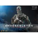 The Terminator T800 Endoskeleton HOTTOYS 1/6 Diecast - Battle Damage