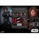 Star Wars Anakin Skywalker HOTTOYS MMS839 - Movie Masterpiece