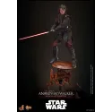 Star Wars Anakin Skywalker HOTTOYS MMS839 - Movie Masterpiece