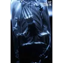 Hollow Knight The Pale King - 27abyss Studio | Edición Especial