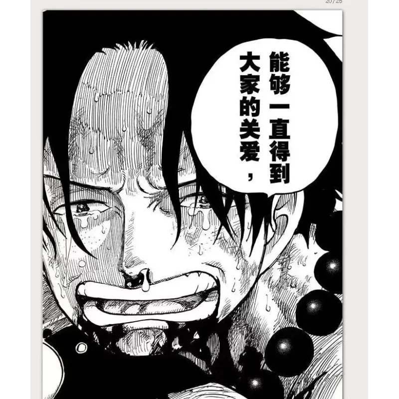 One Piece Ace and Luffy Farewell Dream Lab Studio