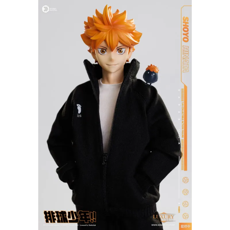 Haikyuu Shoyo Hinata Deluxe Ver. Asmus Toys