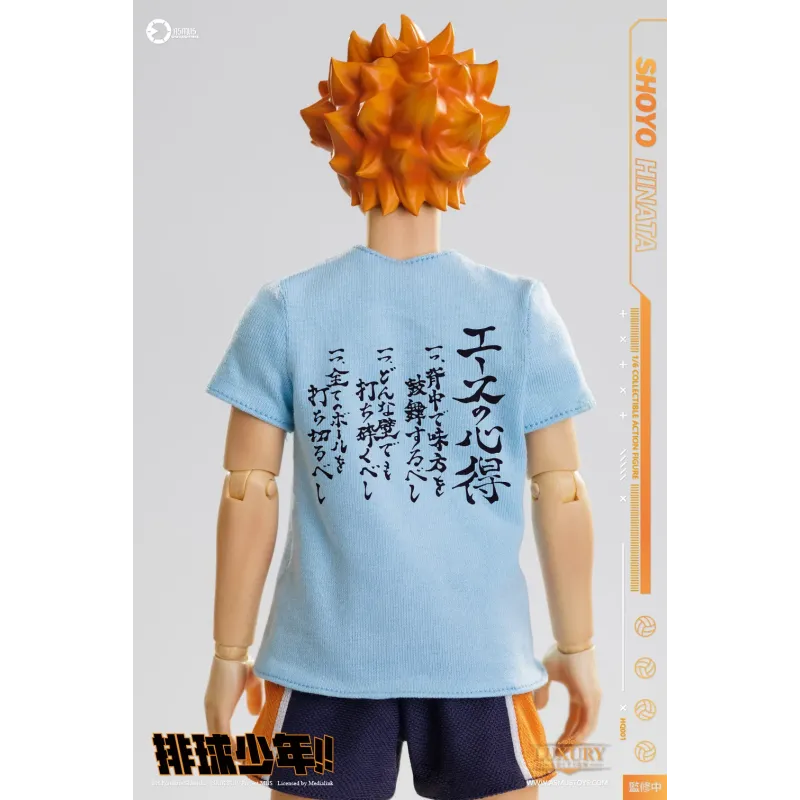 Haikyuu Shoyo Hinata Deluxe Ver. Asmus Toys