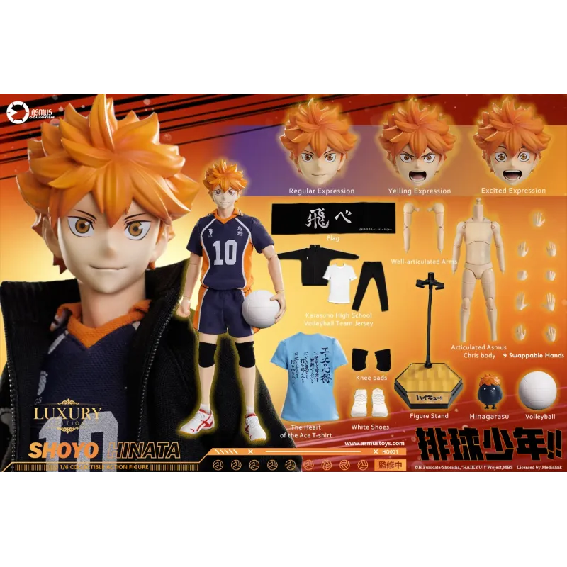 Haikyuu Shoyo Hinata Deluxe Ver. Asmus Toys