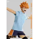 Haikyuu Shoyo Hinata Deluxe Ver. Asmus Toys