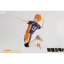 Haikyuu Shoyo Hinata Deluxe Ver. Asmus Toys