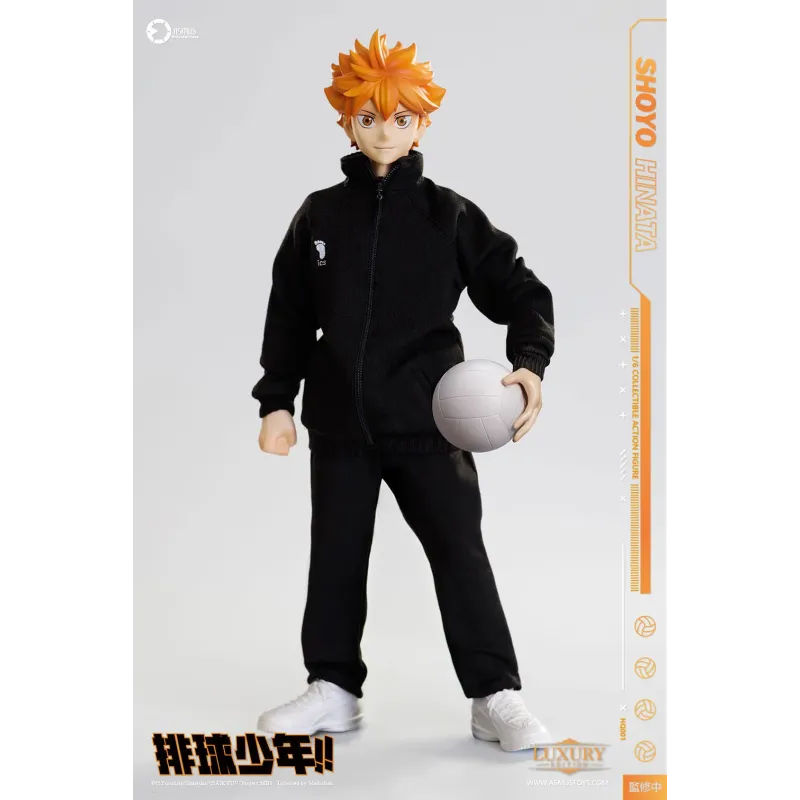 Haikyuu Shoyo Hinata Deluxe Ver. Asmus Toys