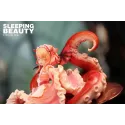 Original Character Sleeping Beauty Cthulhu Girl WeArtDoing Studio