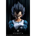 Dragon Ball Z Vegeta Namek MAN Studio