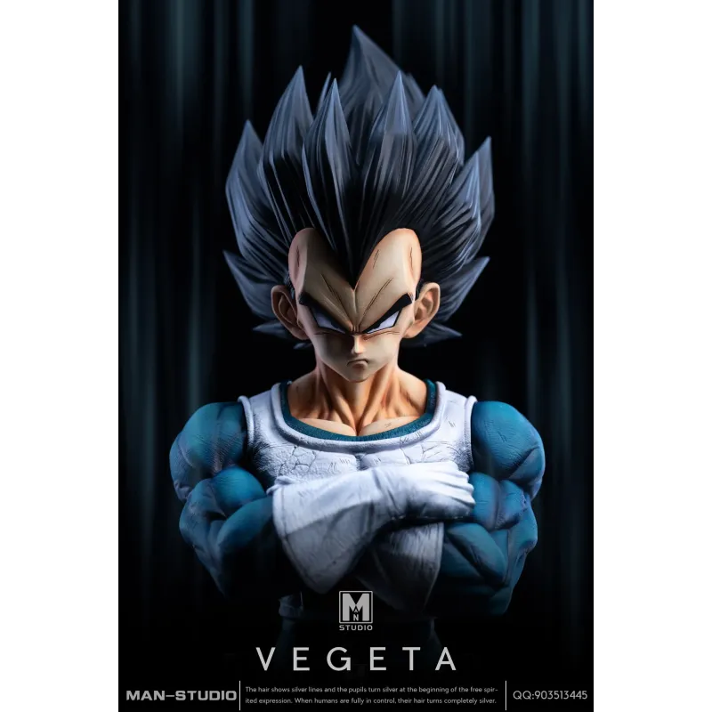 Dragon Ball Z Vegeta Namek MAN Studio