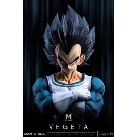 Dragon Ball Z Vegeta Namek MAN Studio