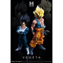 Dragon Ball Z Vegeta Namek MAN Studio