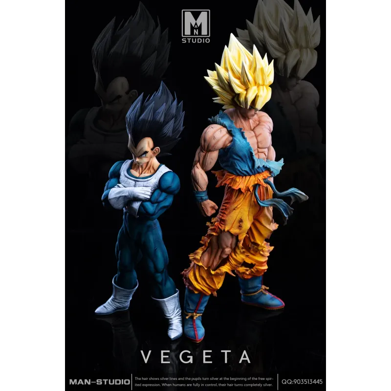 Dragon Ball Z Vegeta Namek MAN Studio
