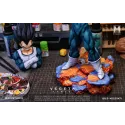 Dragon Ball Z Vegeta Namek MAN Studio
