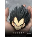 Dragon Ball Z Vegeta Namek MAN Studio