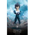 Dragon Ball Z Vegeta Namek MAN Studio