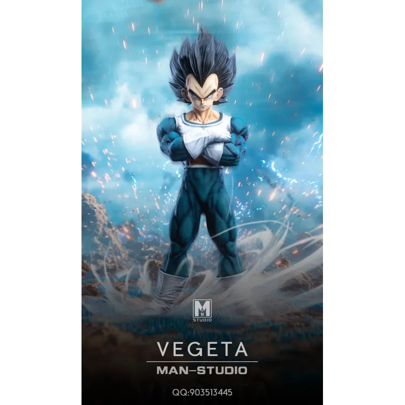 Dragon Ball Z Vegeta Namek MAN Studio