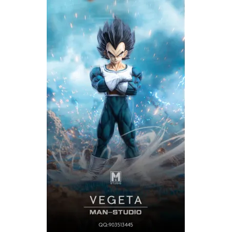 Dragon Ball Z Vegeta Namek MAN Studio