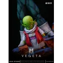 Dragon Ball Z Vegeta Namek MAN Studio