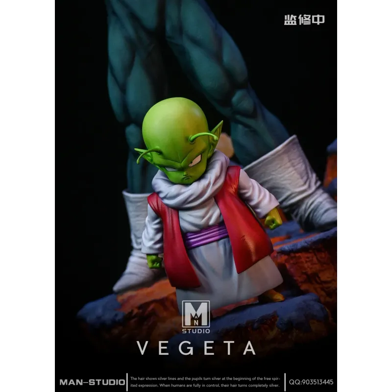 Dragon Ball Z Vegeta Namek MAN Studio