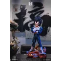 Dragon Ball Z Vegeta Namek MAN Studio