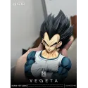 Dragon Ball Z Vegeta Namek MAN Studio