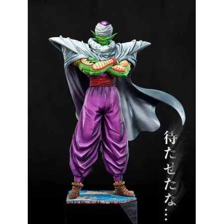 Dragon Ball Z Piccolo Warrior of Namek Notricks Studio