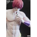Hunter x Hunter Hisoka Morow Dtalon Studio