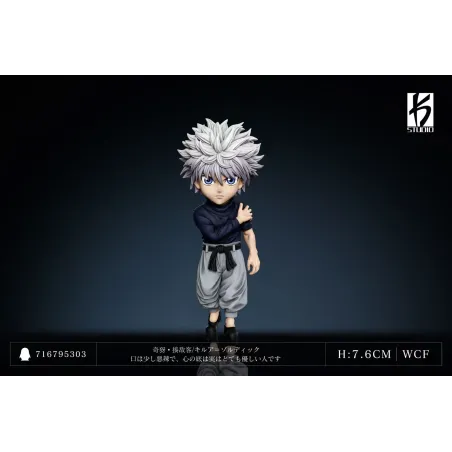 Hunter x Hunter Killua Zoldyck & Gon Freecss WCF KS Studio