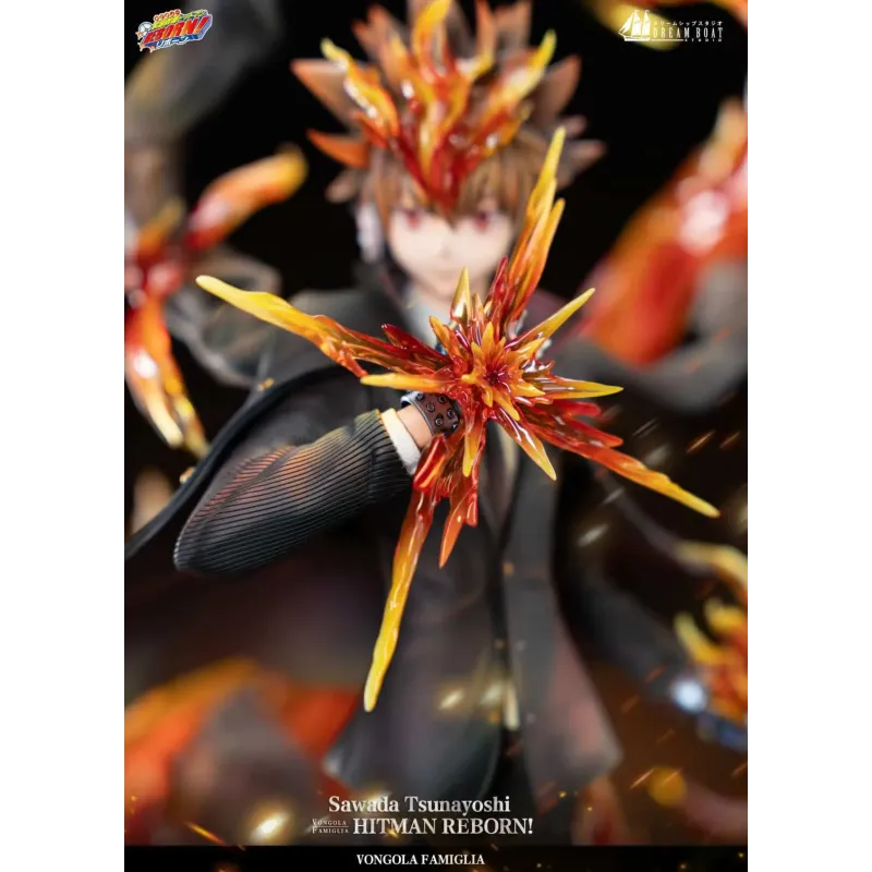 Katekyo Hitman Reborn Sawada Tsunayoshi Dream Boat Studio
