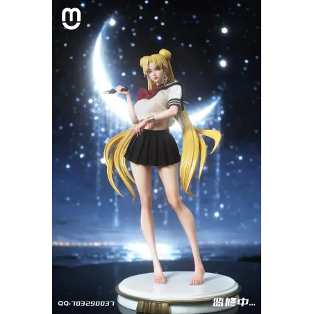 Sailor Moon Dark Sailor Moon MU Studio