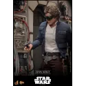Star Wars: The Empire Strikes Back Han Solo Hot Toys