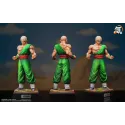 Dragon Ball Z Son Goku & Tien Shinhan Ki Studio