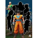 Dragon Ball Z Son Goku & Tien Shinhan Ki Studio